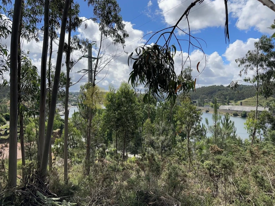 Terreno para Venda em Foz do Sousa e Covelo Foto 4