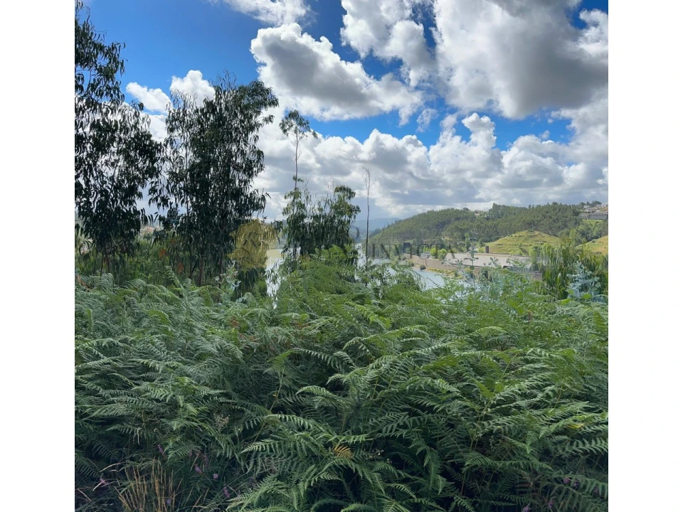 Terreno para Venda em Foz do Sousa e Covelo Foto 6