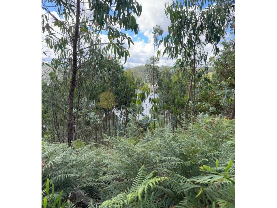 Terreno para Venda em Foz do Sousa e Covelo Foto 7