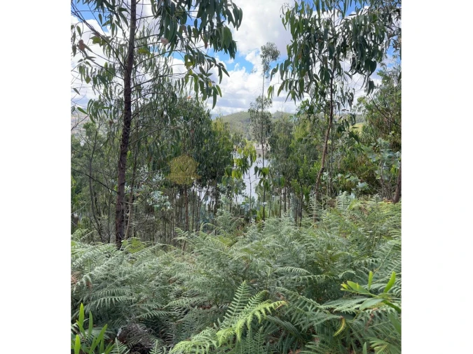 Terreno para Venda em Foz do Sousa e Covelo Foto 7