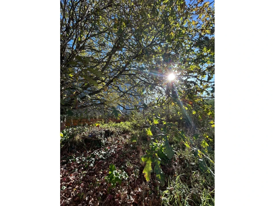 Terreno para Venda em Moreira Foto 7