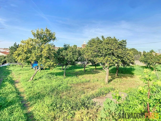 Quinta para Venda em Nossa Senhora da Conceição, São Brás dos Matos, Juromenha Foto 7