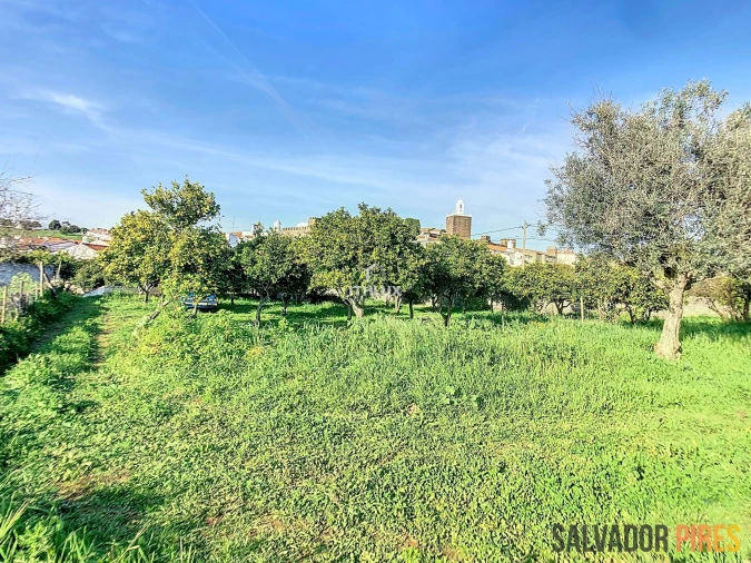 Quinta para Venda em Nossa Senhora da Conceição, São Brás dos Matos, Juromenha Foto 6