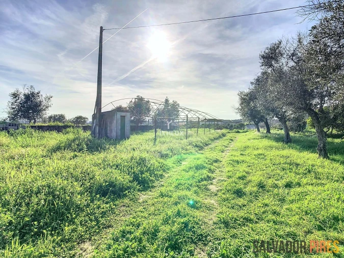 Quinta para Venda em Nossa Senhora da Conceição, São Brás dos Matos, Juromenha Foto 5