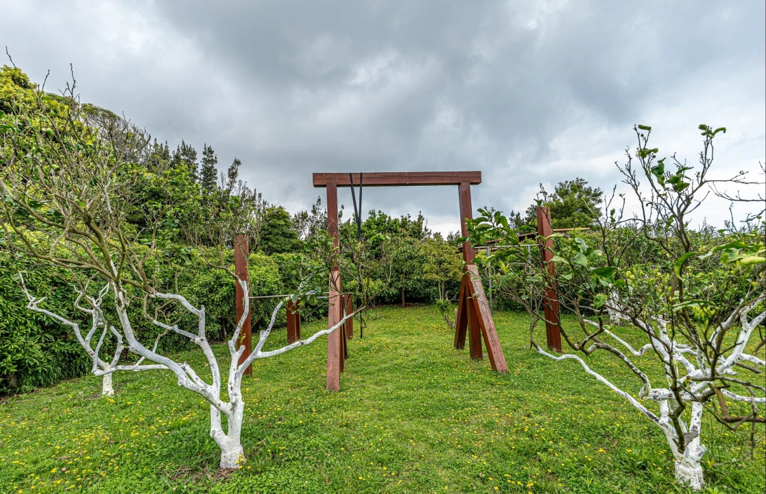 Quinta T7 para Venda em Fenais da Luz Foto 43