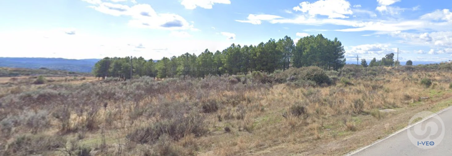 Terreno para Venda em Vilas Boas e Vilarinho das Azenhas Foto 3