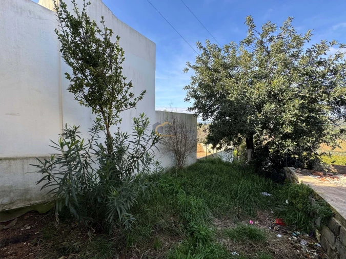 Negócio para Venda em Alte Foto 21