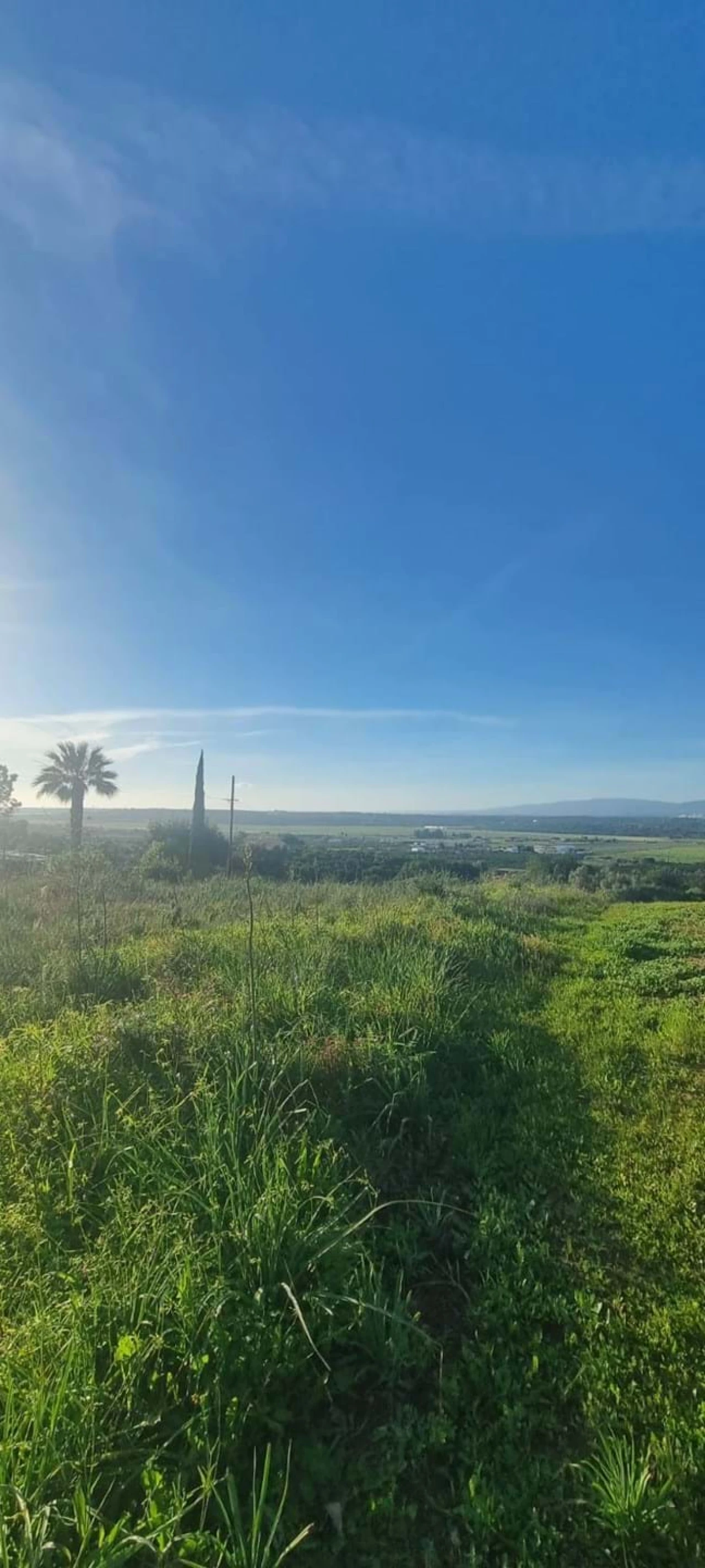 Terreno para Venda em Porches Foto 6