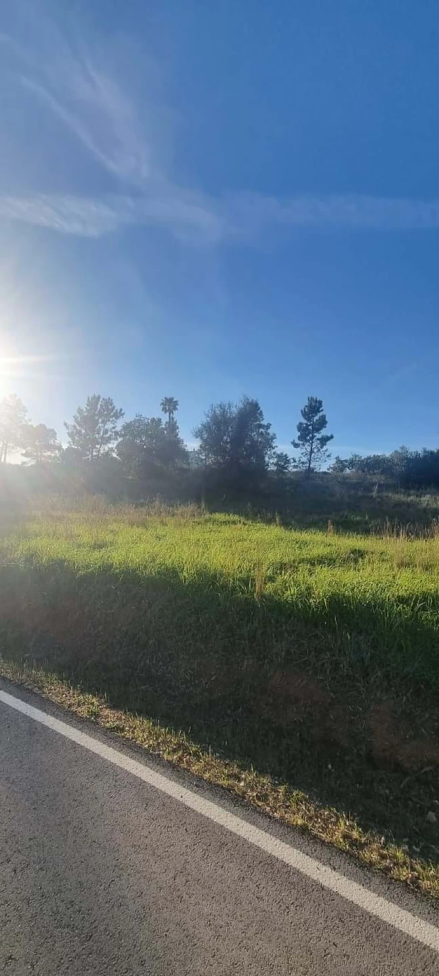 Terreno para Venda em Porches Foto 2