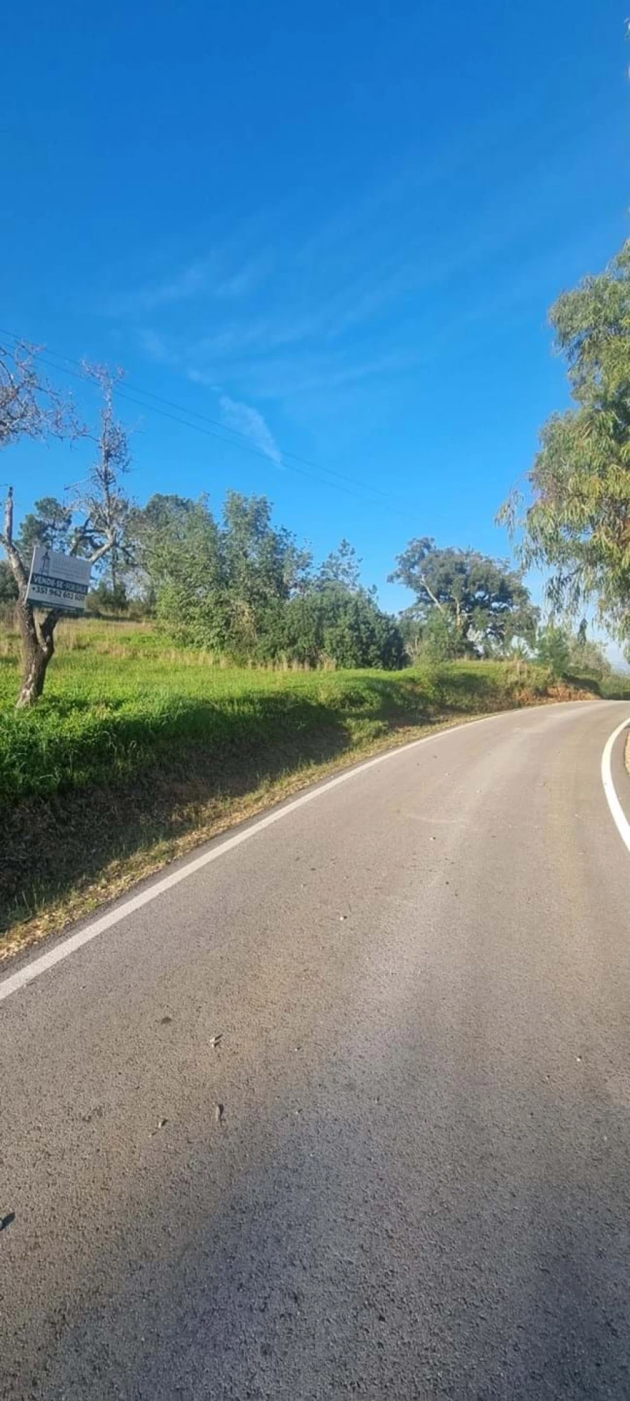 Terreno para Venda em Porches