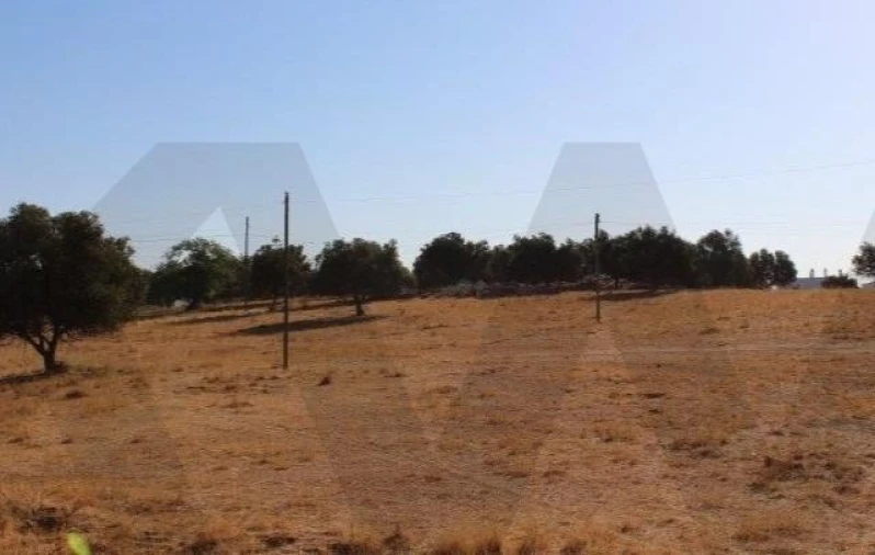 Terreno para Venda em Albufeira e Olhos de Água Foto 5