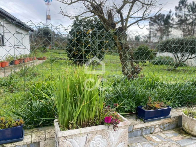 Quinta T6 para Venda em Santa Maria Maior e Monserrate e Meadela Foto 20