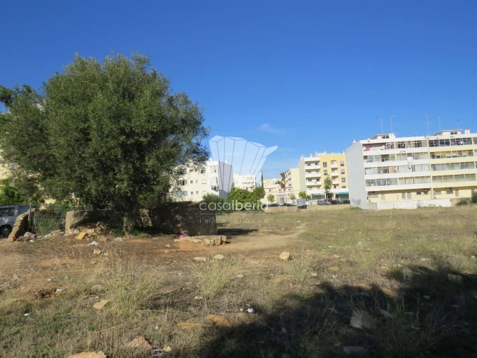 Terreno para Venda em Olhão Foto 6