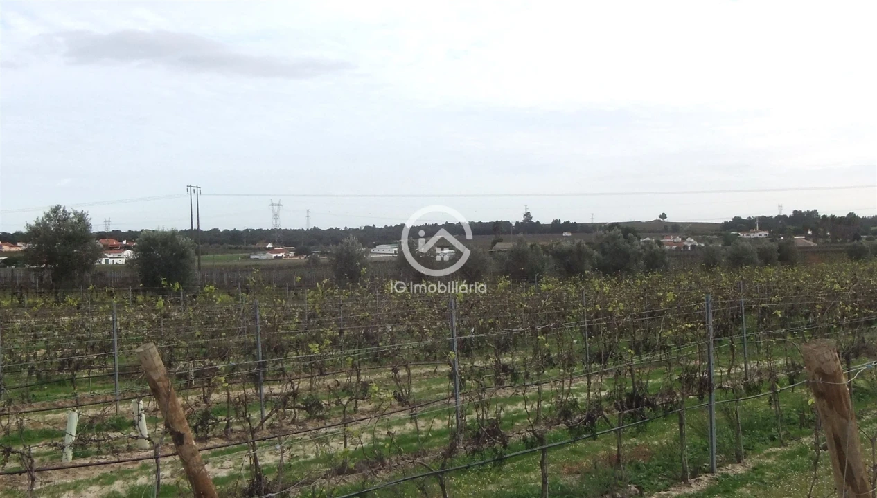 Quinta T0 para Venda em Poceirão e Marateca Foto 10