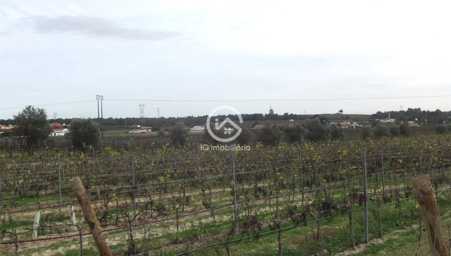 Quinta T0 para Venda em Poceirão e Marateca Foto 10