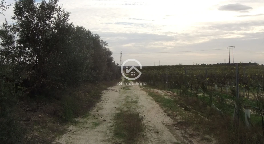 Quinta T0 para Venda em Poceirão e Marateca Foto 12