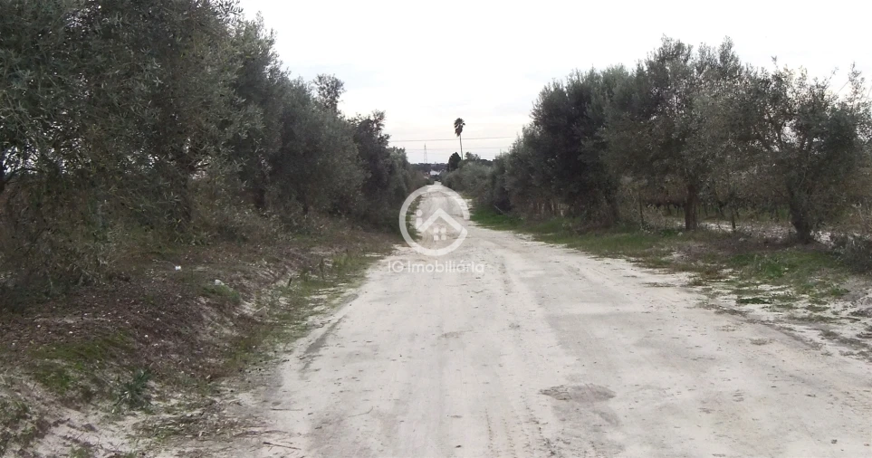 Quinta T0 para Venda em Poceirão e Marateca Foto 24