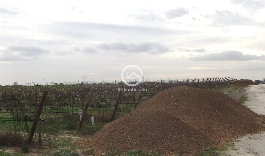 Quinta T0 para Venda em Poceirão e Marateca Foto 11