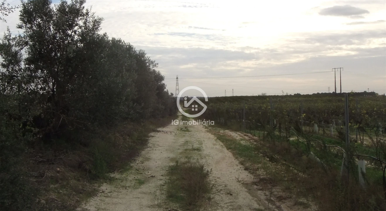 Quinta T0 para Venda em Poceirão e Marateca Foto 12