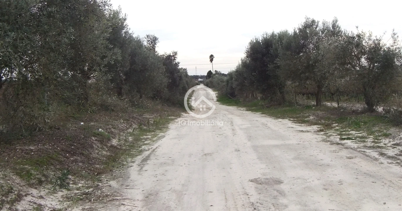 Quinta T0 para Venda em Poceirão e Marateca Foto 24