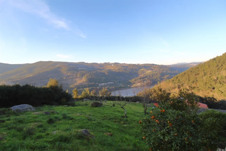 Moradia T3 para Venda em Santa Maria de Sardoura Foto 30