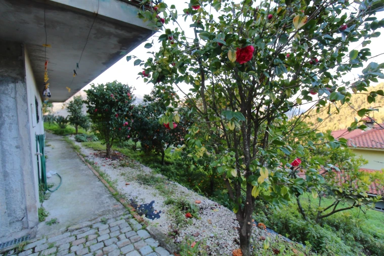 Moradia T3 para Venda em Santa Maria de Sardoura Foto 5