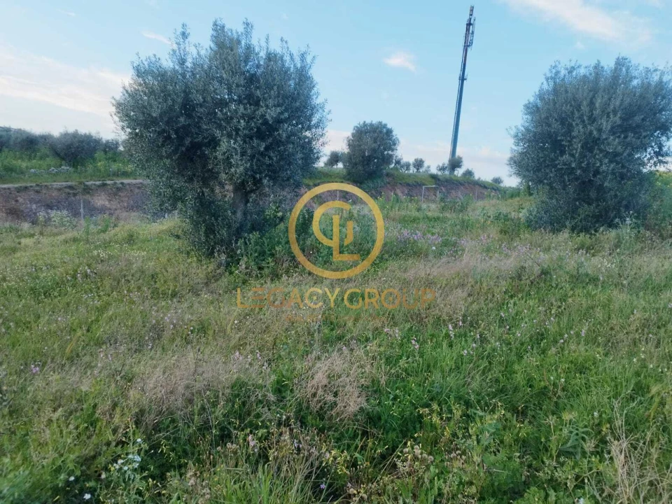 Terreno para Venda em Redondo Foto 17