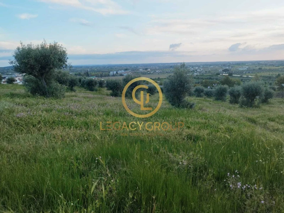 Terreno para Venda em Redondo Foto 9