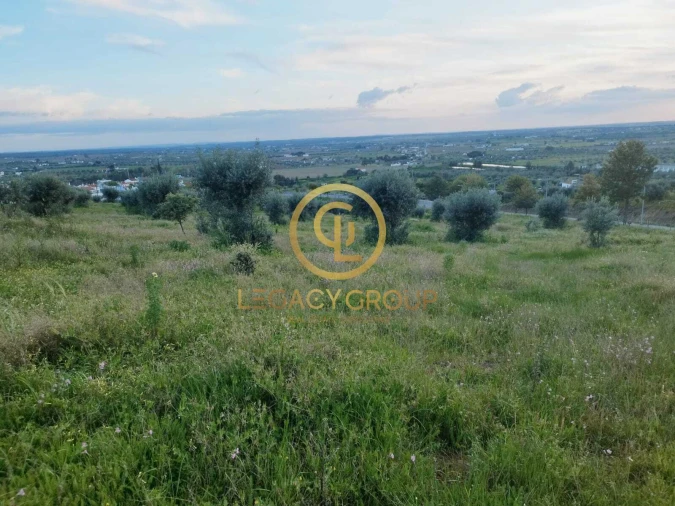 Terreno para Venda em Redondo