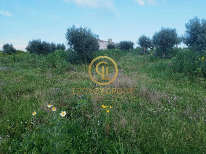 Terreno para Venda em Redondo Foto 4