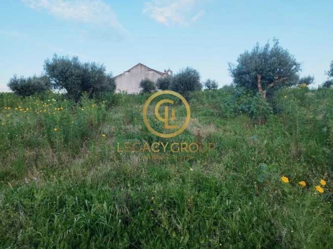 Terreno para Venda em Redondo Foto 6