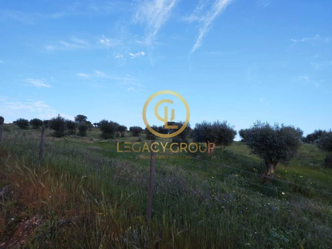 Terreno para Venda em Redondo Foto 12