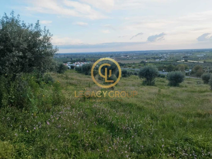 Terreno para Venda em Redondo Foto 8