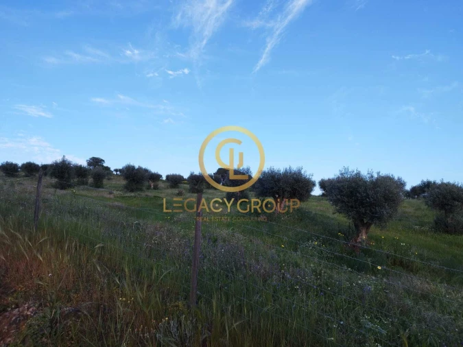 Terreno para Venda em Redondo Foto 14