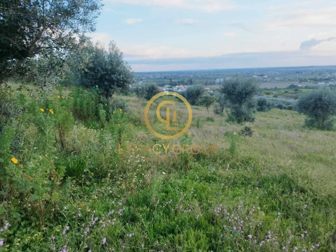 Terreno para Venda em Redondo Foto 10