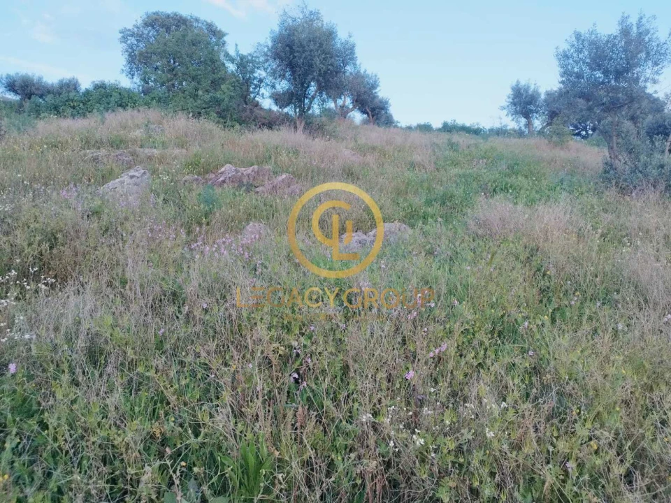 Terreno para Venda em Redondo Foto 2