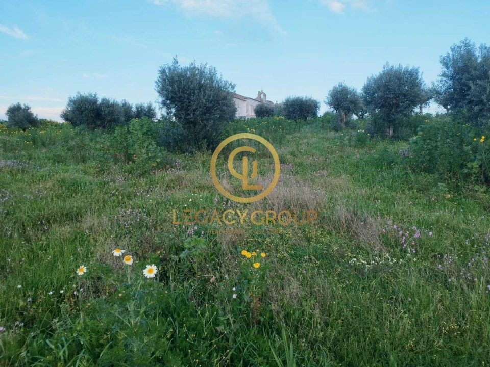 Terreno para Venda em Redondo Foto 4