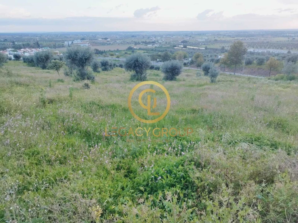 Terreno para Venda em Redondo Foto 3