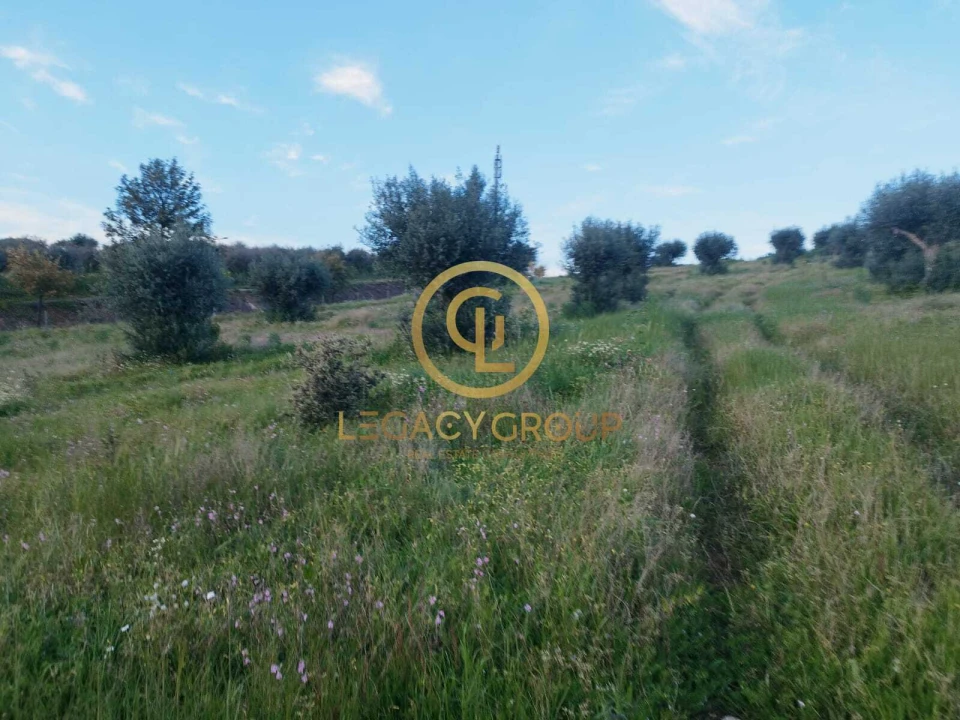 Terreno para Venda em Redondo Foto 20