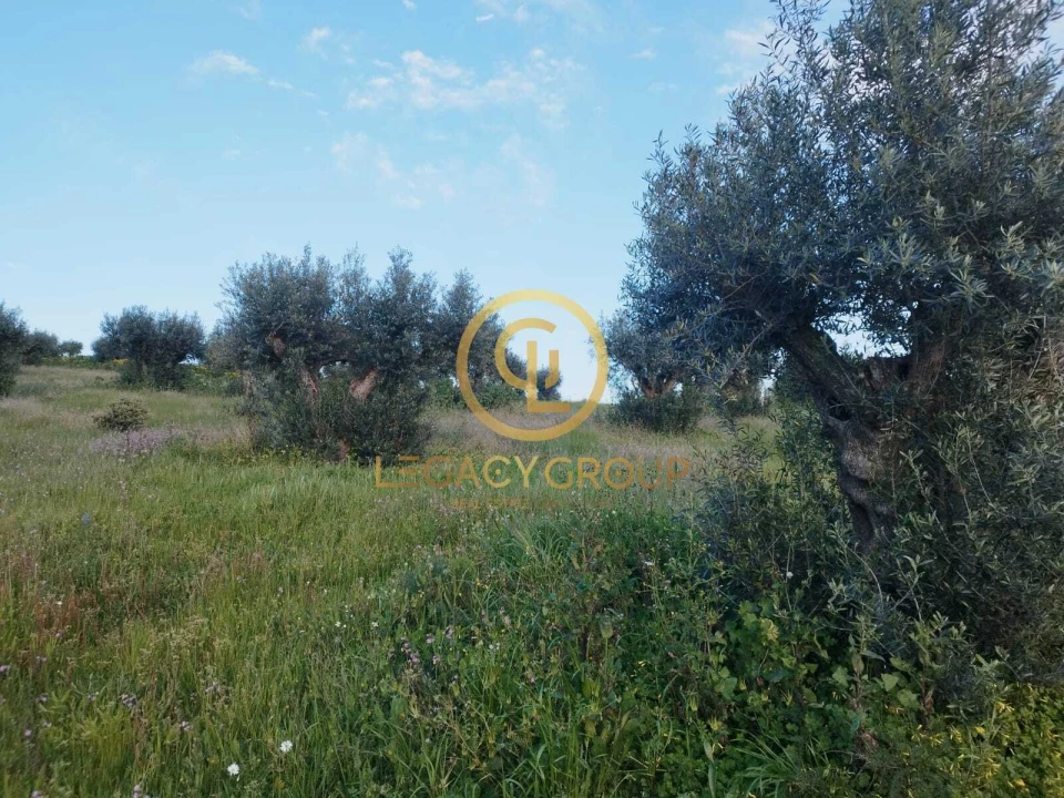 Terreno para Venda em Redondo Foto 19