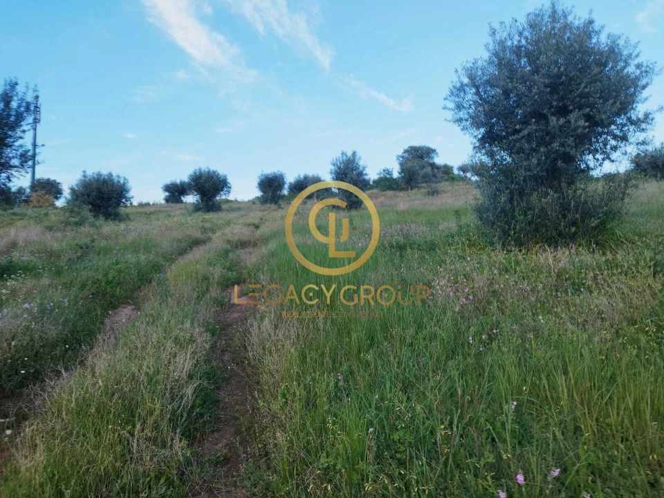 Terreno para Venda em Redondo Foto 7