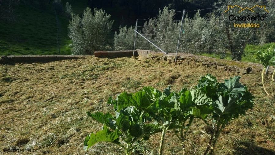 Moradia T2 para Venda em Ermida e Figueiredo Foto 11