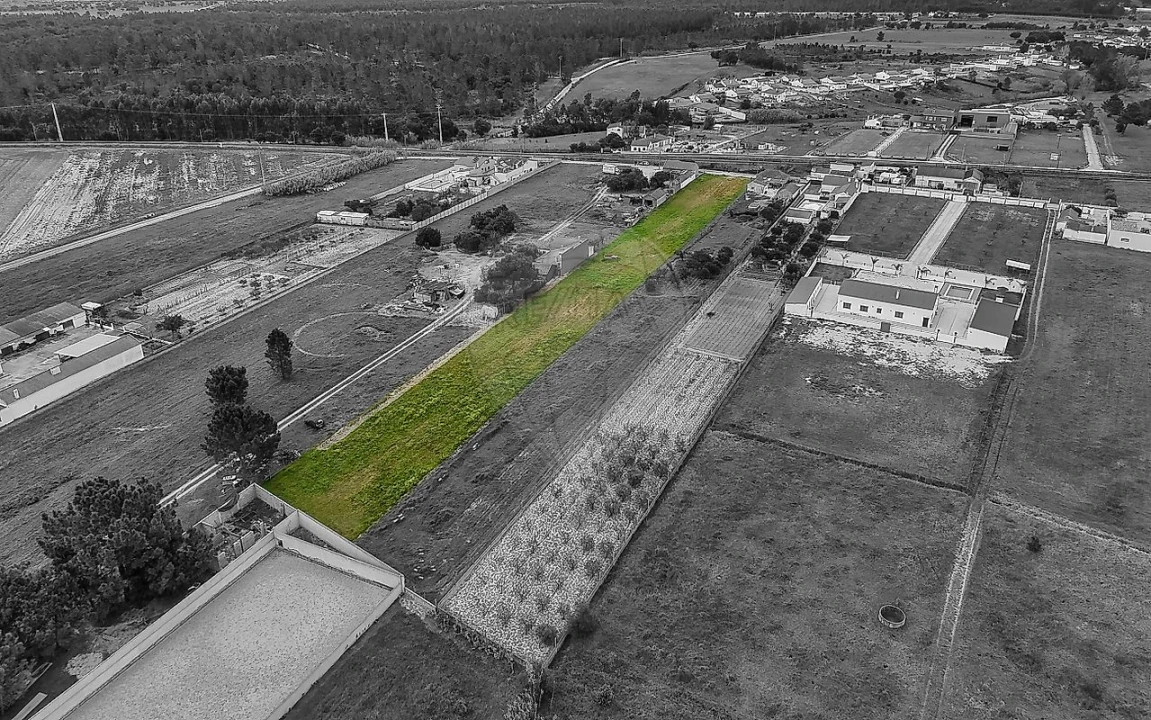 Terreno para Venda em Marinhais Foto 11