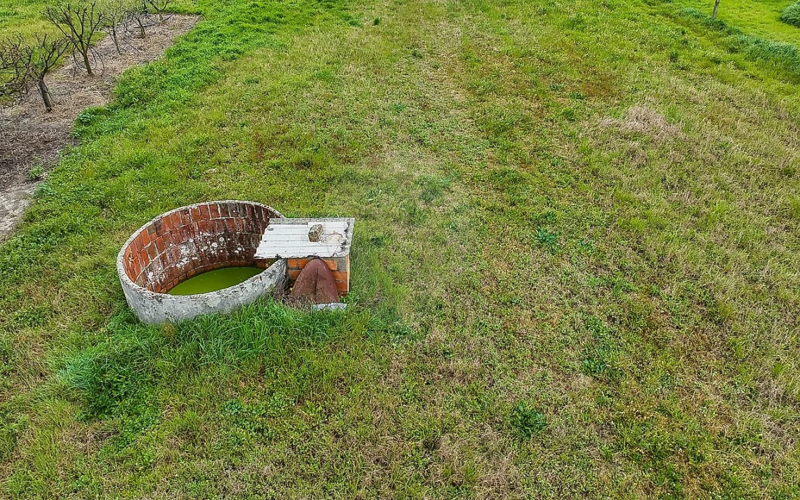 Terreno para Venda em Marinhais Foto 6