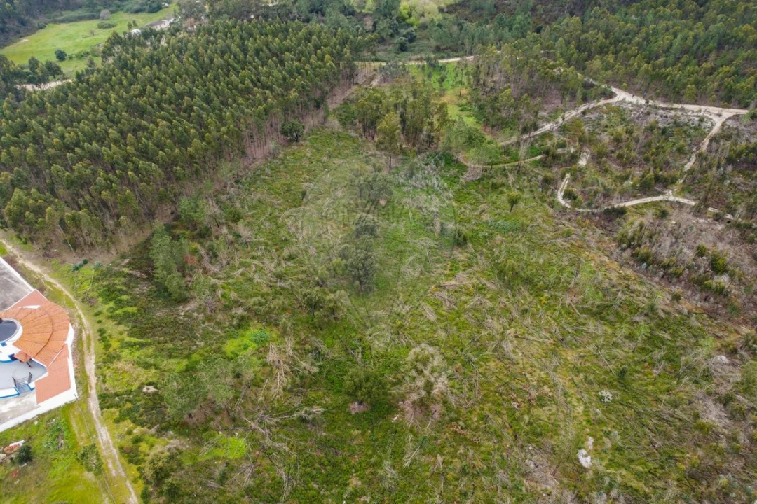 Terreno para Venda em Olhalvo Foto 8