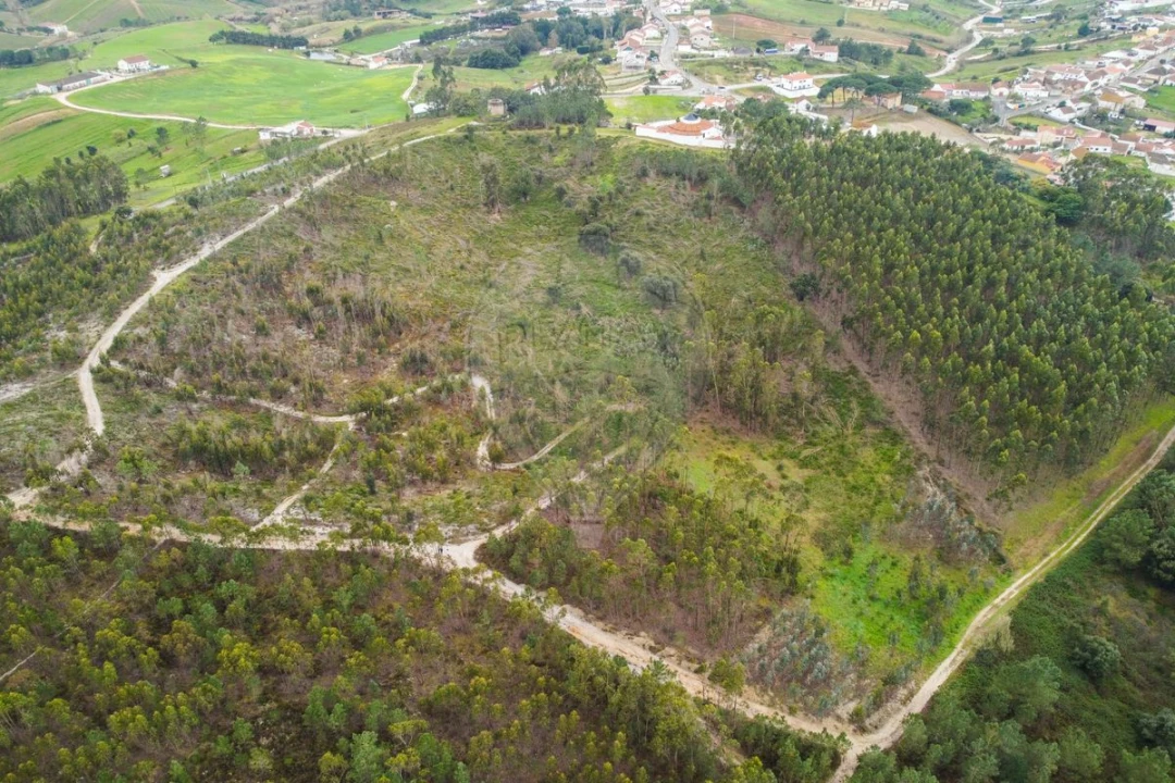 Terreno para Venda em Olhalvo Foto 2