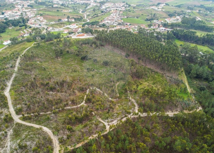 Terreno para Venda em Olhalvo Foto 5