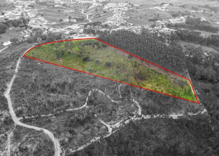 Terreno para Venda em Olhalvo Foto 1