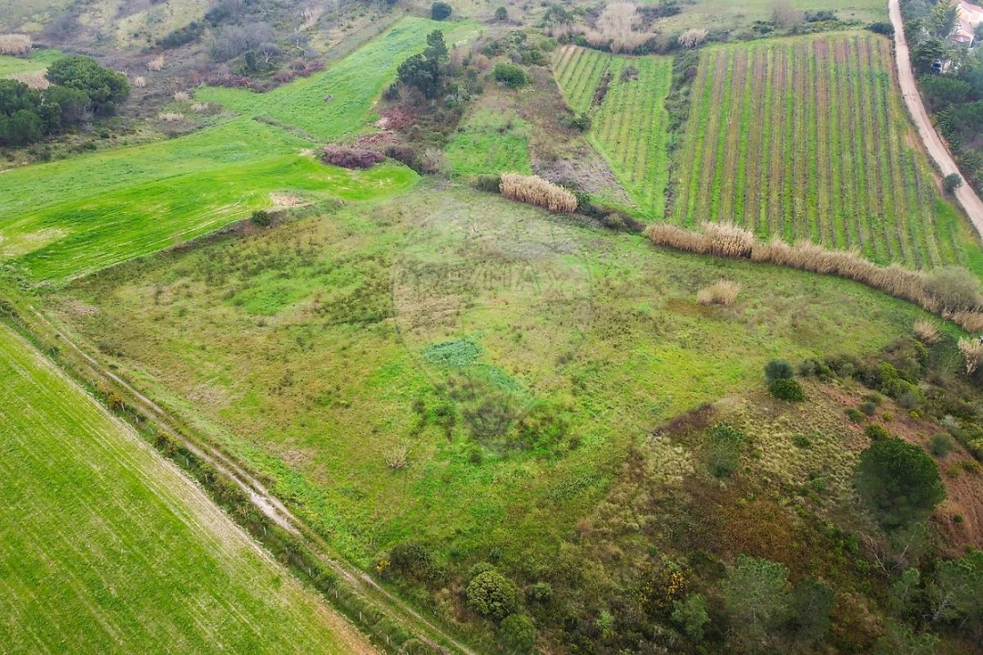 Terreno para Venda em Olhalvo Foto 8