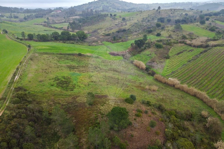 Terreno para Venda em Olhalvo Foto 4